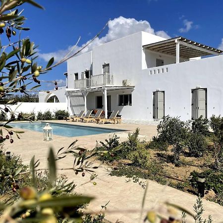 White Pearl Villa Naxos With Private Swimming Pool Naxos City Экстерьер фото