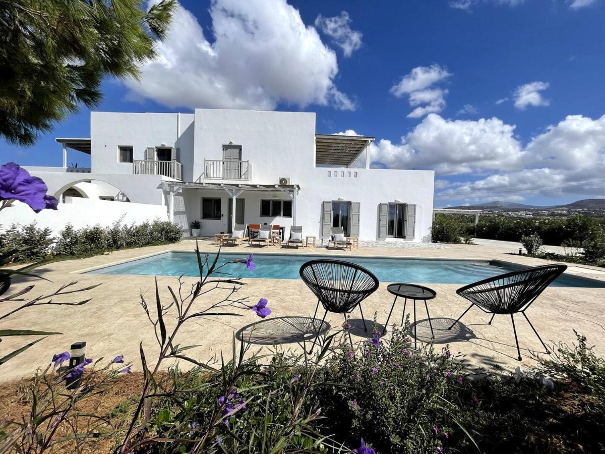 White Pearl Villa Naxos With Private Swimming Pool Naxos City Экстерьер фото