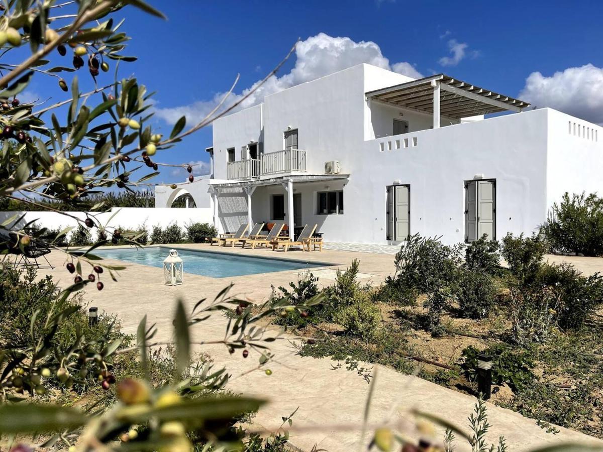 White Pearl Villa Naxos With Private Swimming Pool Naxos City Экстерьер фото